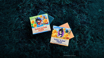 DRAGON BALL Z DUO