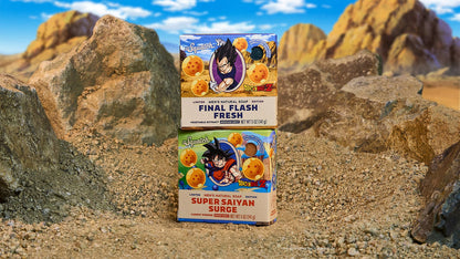 DRAGON BALL Z DUO