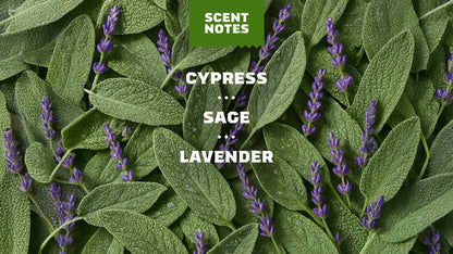 ALPINE SAGE