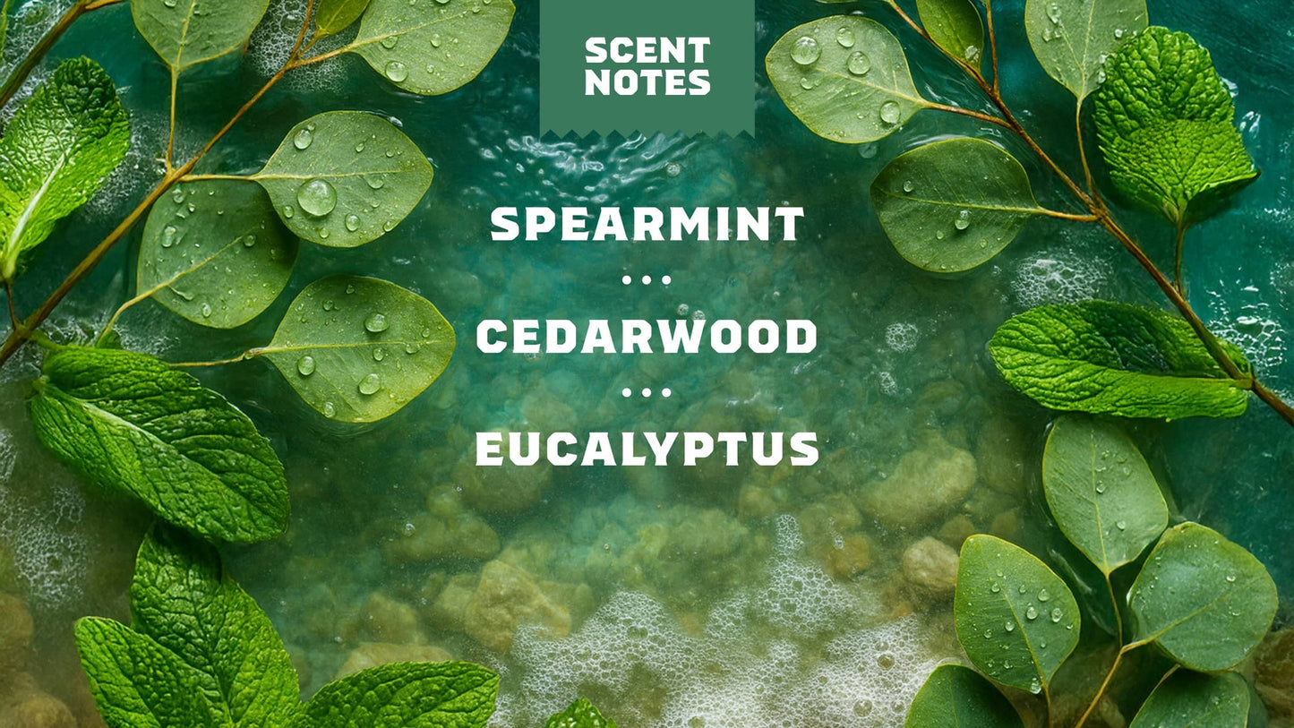 RAINFOREST RAPIDS SPRAY DEODORANT
