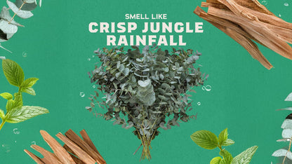 RAINFOREST MIST