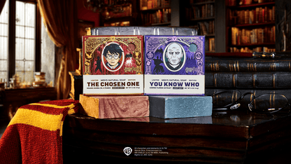 DESTINY DUEL 2-PACK
